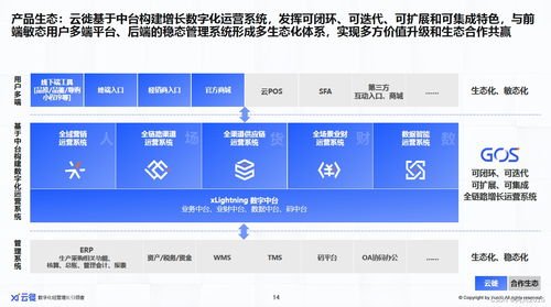 2023增長為王 消費(fèi)者數(shù)字化逆向重構(gòu)消費(fèi)企業(yè)信息系統(tǒng)集成服務(wù)
